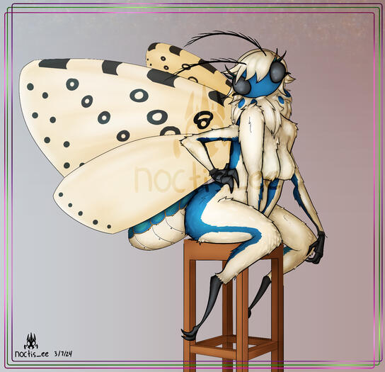 Full body of Stella sitting perched on a chair.